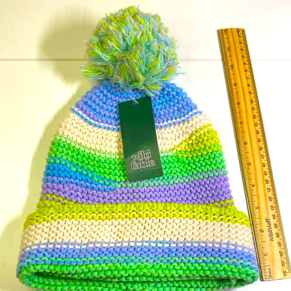 Wild Fable Multicolor Knit Pom-Pom Beanie